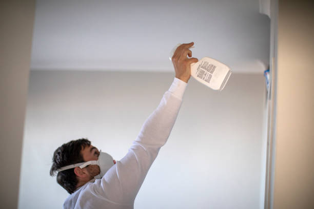 Best Home Mold Removal  in Sweet Springs, MO