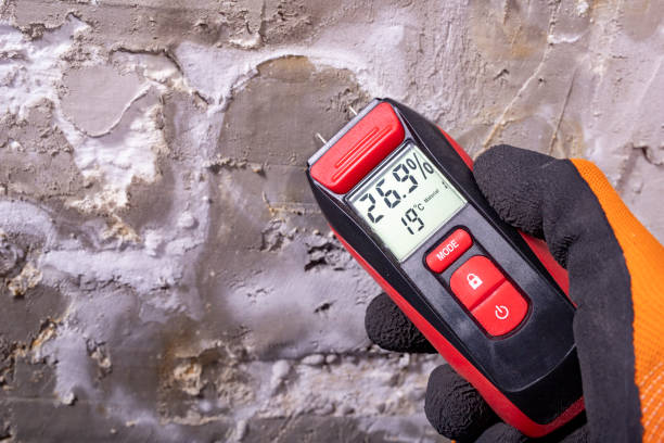 Best Black Mold Removal  in Sweet Springs, MO