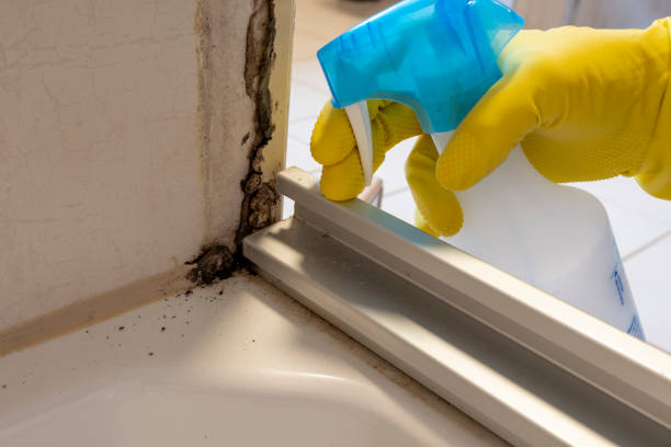 Best Residential Mold Removal  in Sweet Springs, MO
