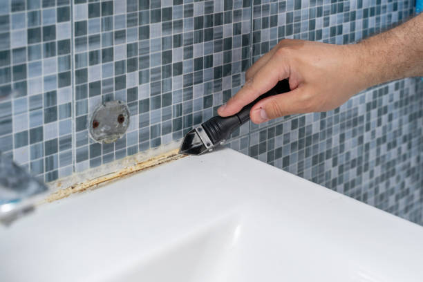 Best Mold Cleaning Services  in Sweet Springs, MO