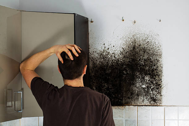 Best Crawl Space Mold Removal  in Sweet Springs, MO